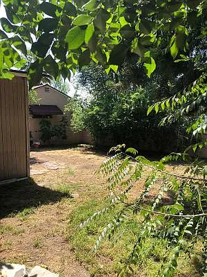 2403 N Lamer St — Photo 8