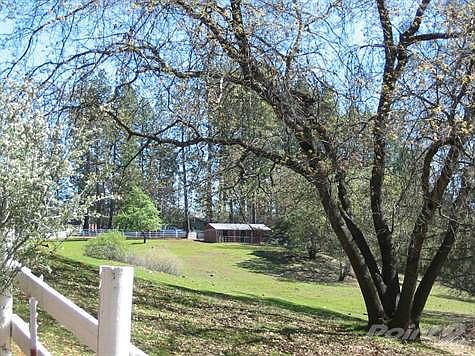 Pasture view with flowering trees.
