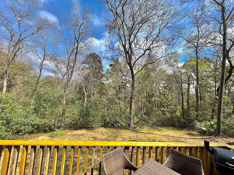 3664 Augusta Springs Dr — Photo 9