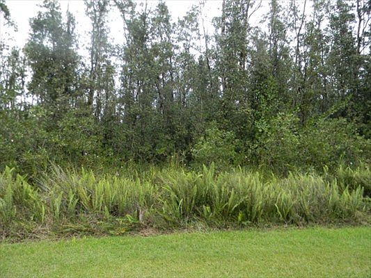2nd image of Hou St Lot 456