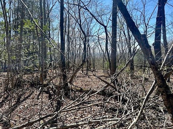 5th image of Connelly Springs Rd #6