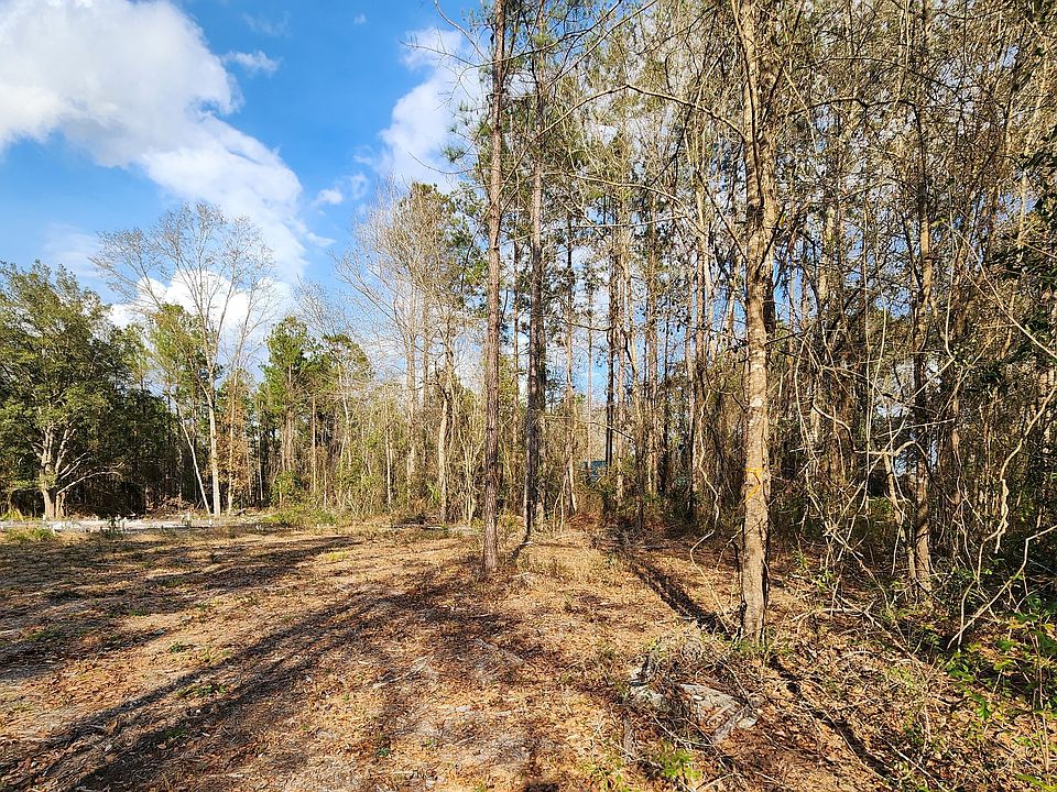 2976 Clarks Bluff Rd, Kingsland, GA 31548 MLS 10142471 Zillow