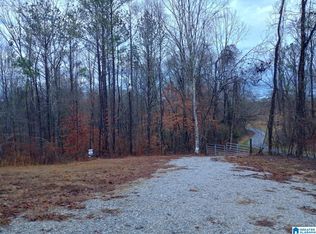 310 Fredric Ferry Rd #1, Daviston, AL 36256