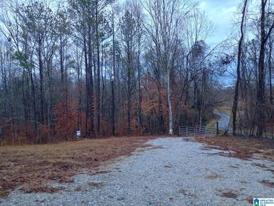 310 Fredric Ferry Rd, Daviston, AL, 36256