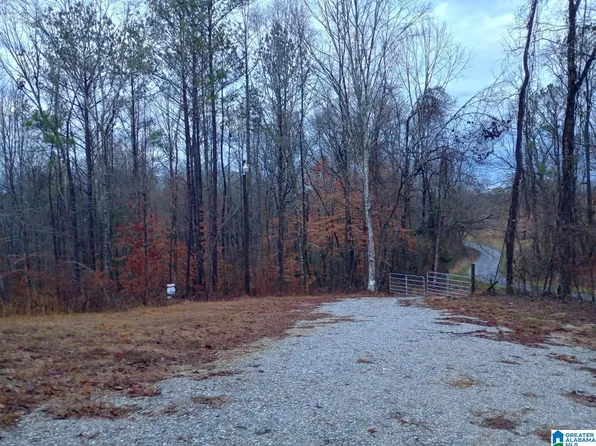 310 Fredric Ferry Rd, Daviston, AL 36256