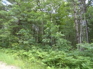 Harvey Dr, Baldwin, MI 49304