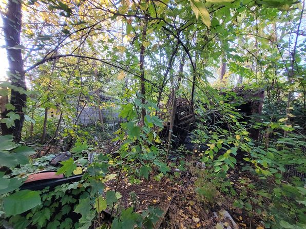 detroit-michigan-88294099 picture