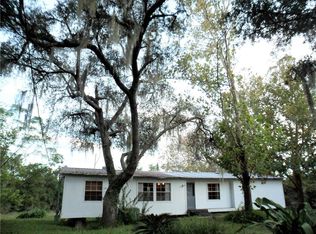 19628 Saltsdale Rd, Umatilla, FL 32784