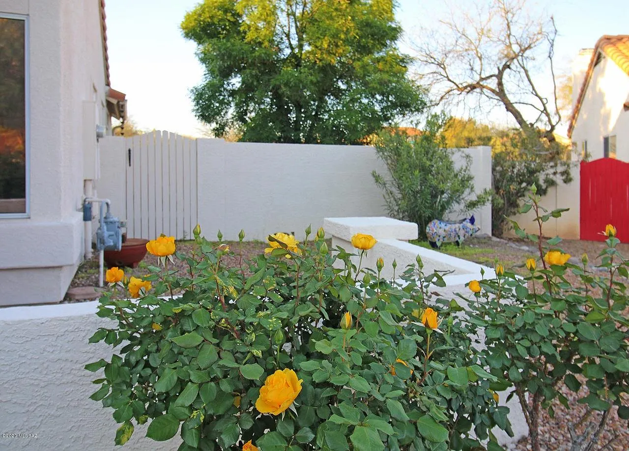 8118 E Prickly Poppy Dr — Photo 4