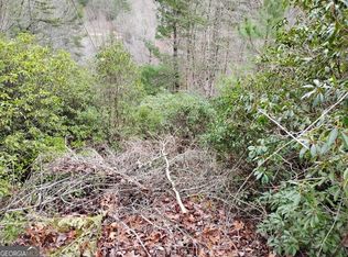 166 Shenendoa Dr, Ellijay, GA 30540