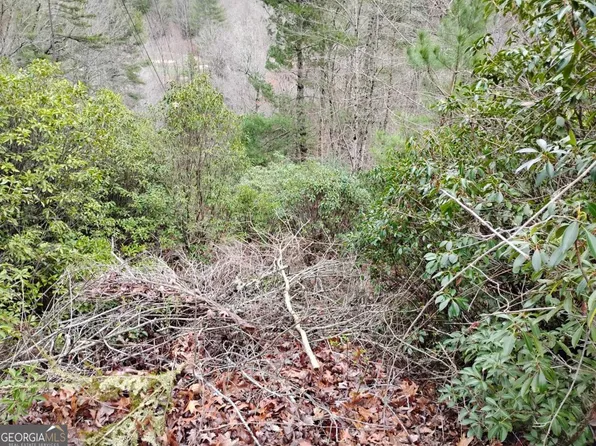 166 Shenendoa Dr, Ellijay, GA 30540