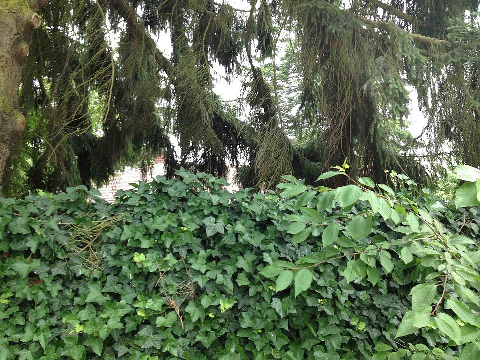2nd image of 1903 NE 110th St