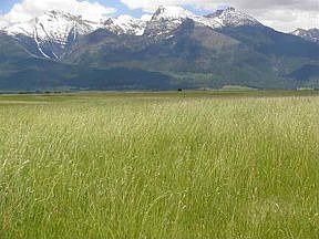 2nd image of 75950 Us Highway 93