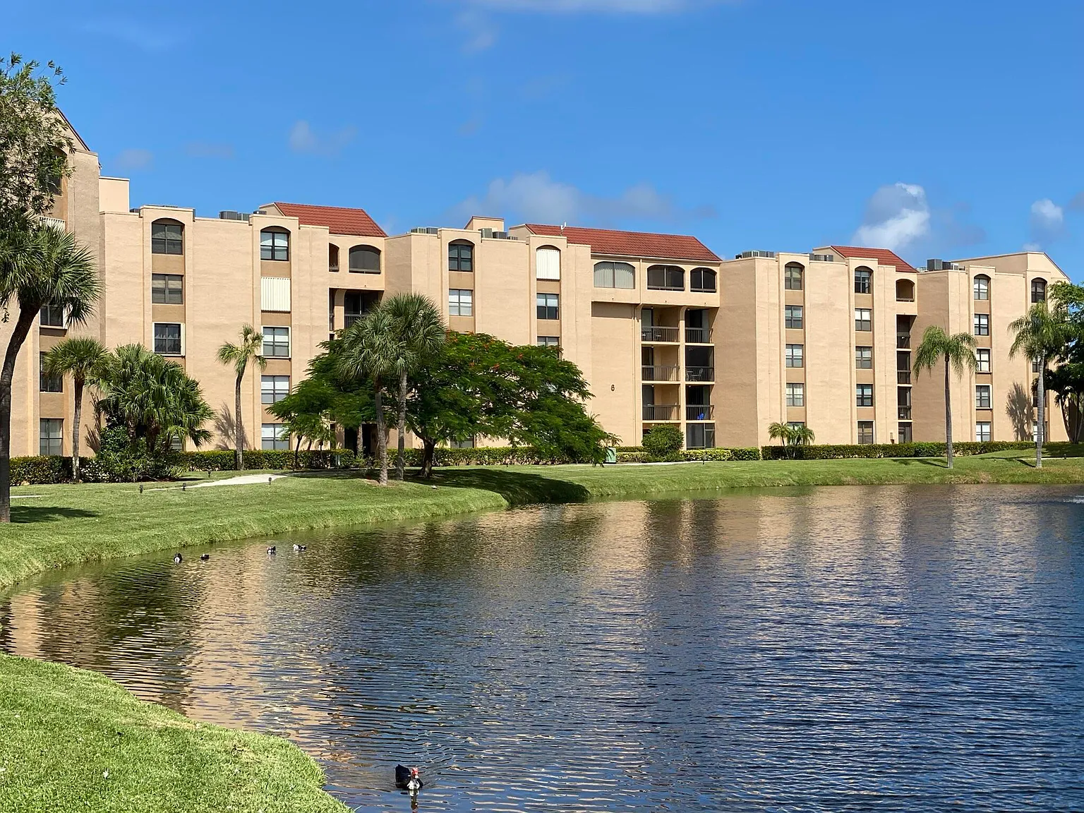 2 bed, 2.0 bath, 1175 sqft, $4,700 — Photo 3