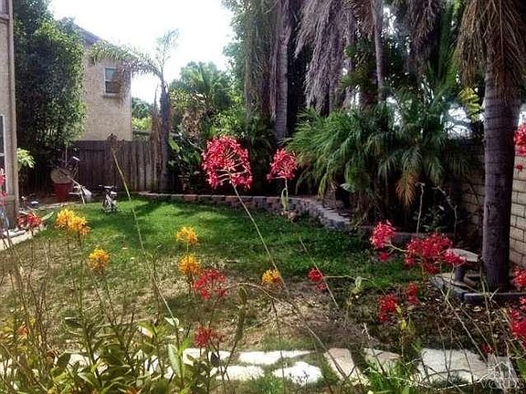 Part of the backyard...