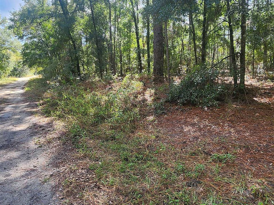 2nd image of 205 Mango Ln