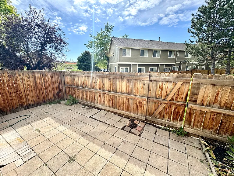 Back yard