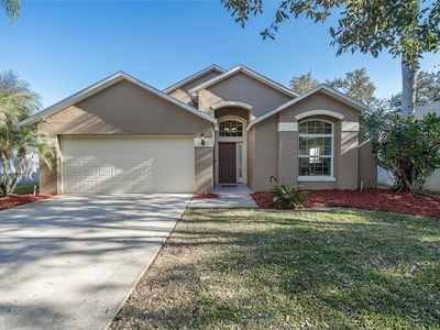 18953 Wood Sage Dr, Tampa, FL, 33647