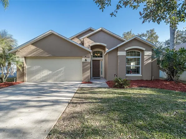 18953 Wood Sage Dr, Tampa, FL 33647