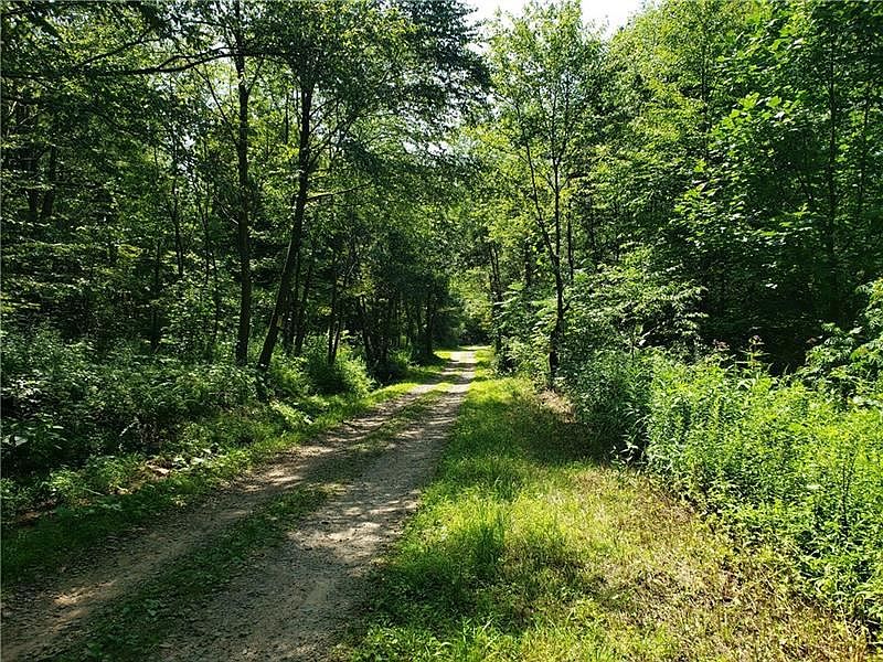2nd image of 215 Greenlick Hollow Rd