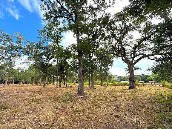 3rd image of LOT 12A1 County Road 345