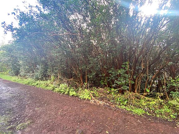 4th image of Lanai St Lot 703