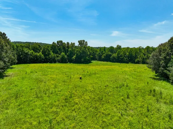 Ross Cemetery Rd Lot Wp001, Tiline, KY 42083