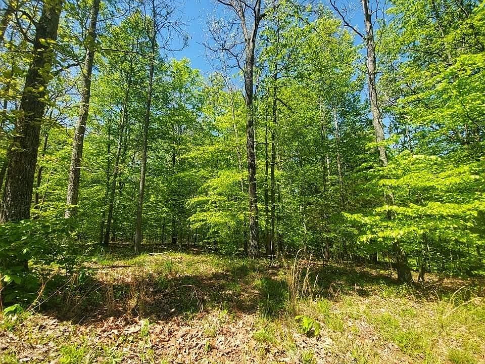 1st image of 4187 Cumberland City City Rd Lot 5