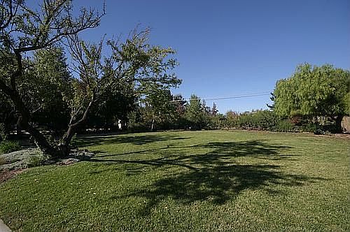 Huge Front Yard