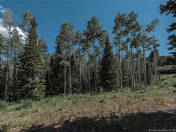 4th image of 126 White Pine Canyon Rd #117