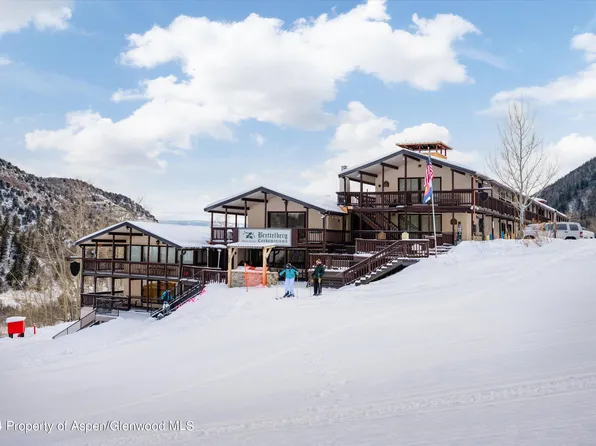 11101-117 County Road 3b, Glenwood Springs, CO 81601
