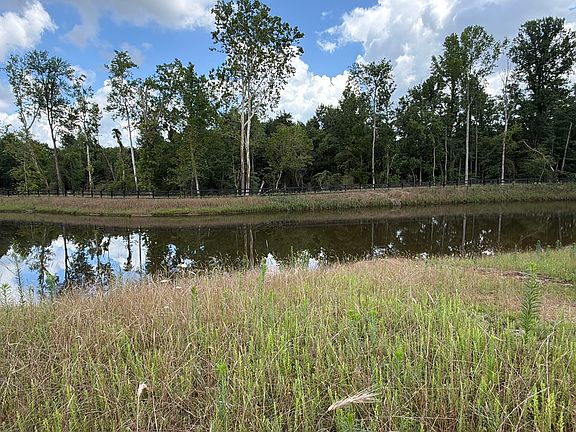 Pond view