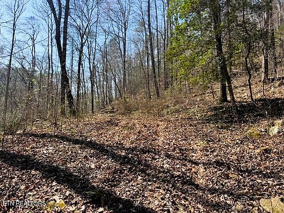 5th image of 768AC Ellis Creek Rd