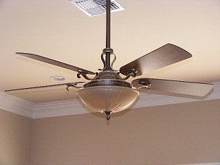 Fantastic light fixtures.