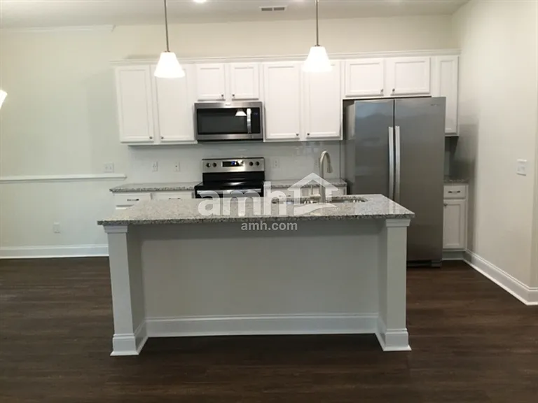 218 Swan Dr — Photo 5