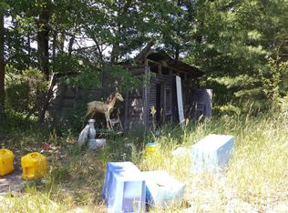 1000 Washington St, Baldwin, MI 49304