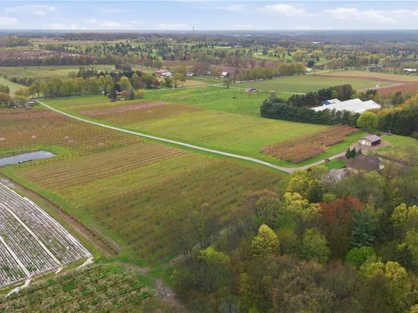 461 Tice Rd, Pelham, ON L0S 1M0
