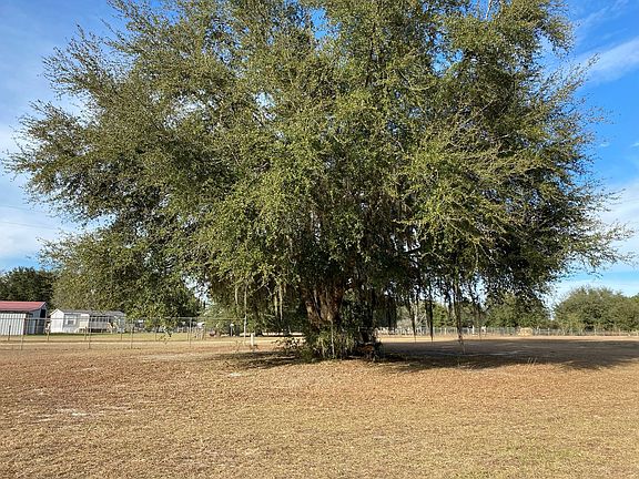 2nd image of 3649 NW Live Oak Cir