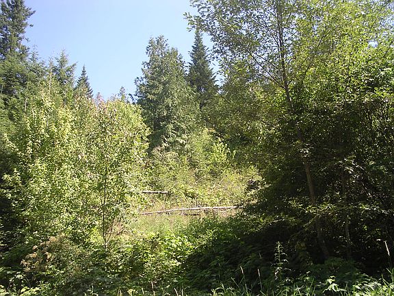 3rd image of Nna Green Bay Rd