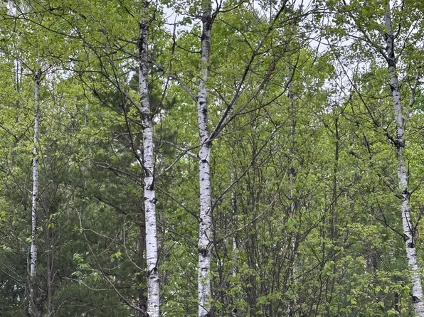 Kelly Dam Rd Lot 7, Tomahawk, WI 54487