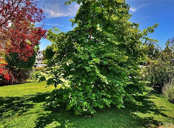 Beautiful, mature trees & landscaping in front yard.