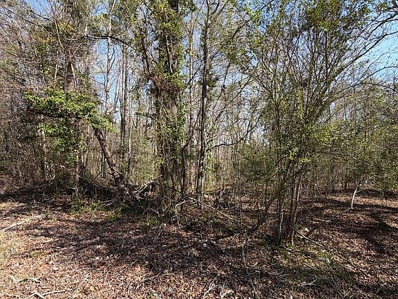 4th image of 0 Winnsboro Rd