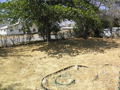 Large Back yard