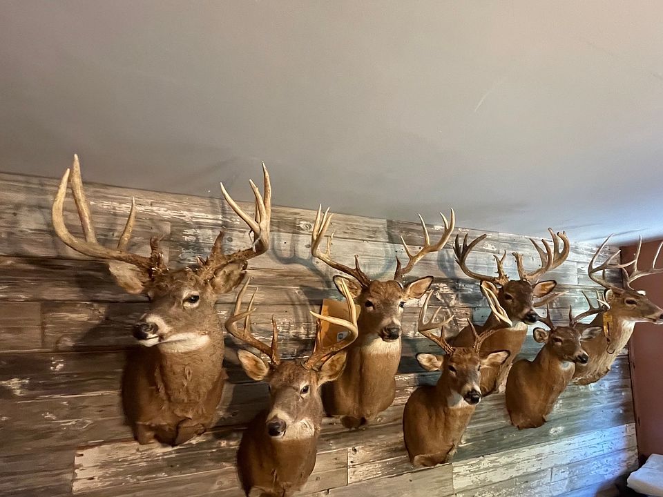 1st image of 2134 County Road 150