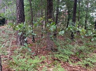 154 Baysdale Dr, Columbia, SC 29229