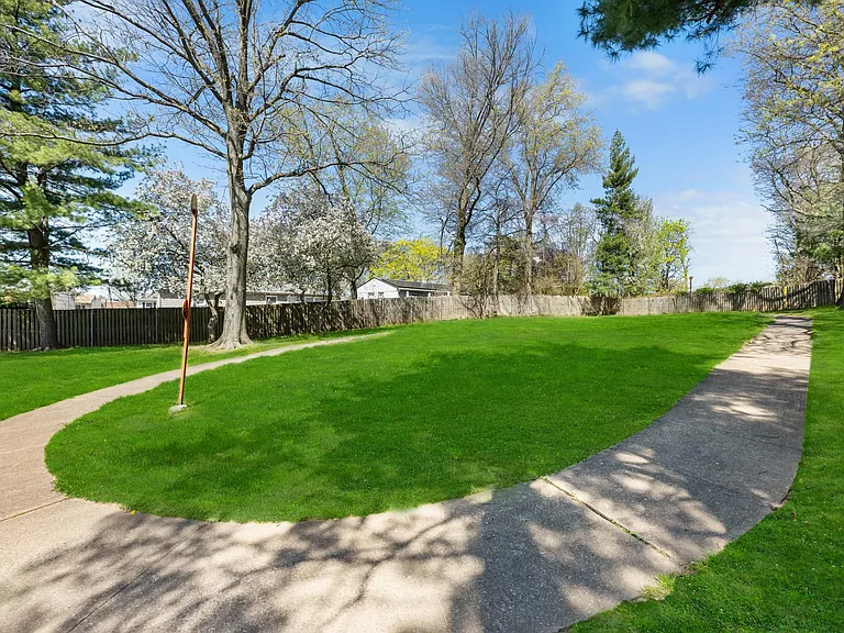 Park/dog walk area
