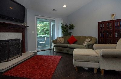 Vaulted Living Room