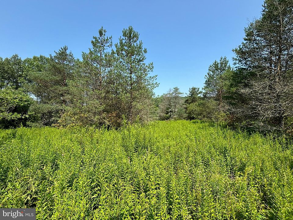 2nd image of Two Mile Rd