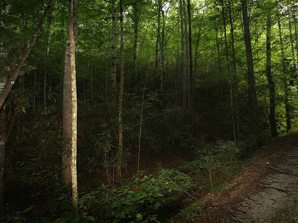 2nd image of 25 Hatcher Mountain Rd Lot 25