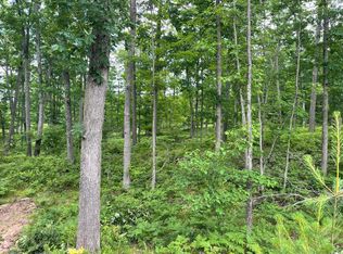 W School Rd, Roscommon, MI 48653